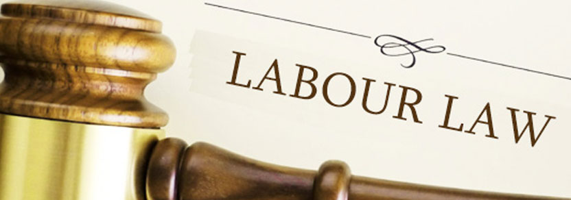 Labour, Employment and Service Laws